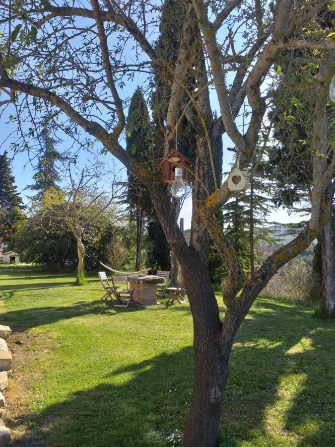 Hotel Le Terre di Caprano Città di Castello Esterno foto