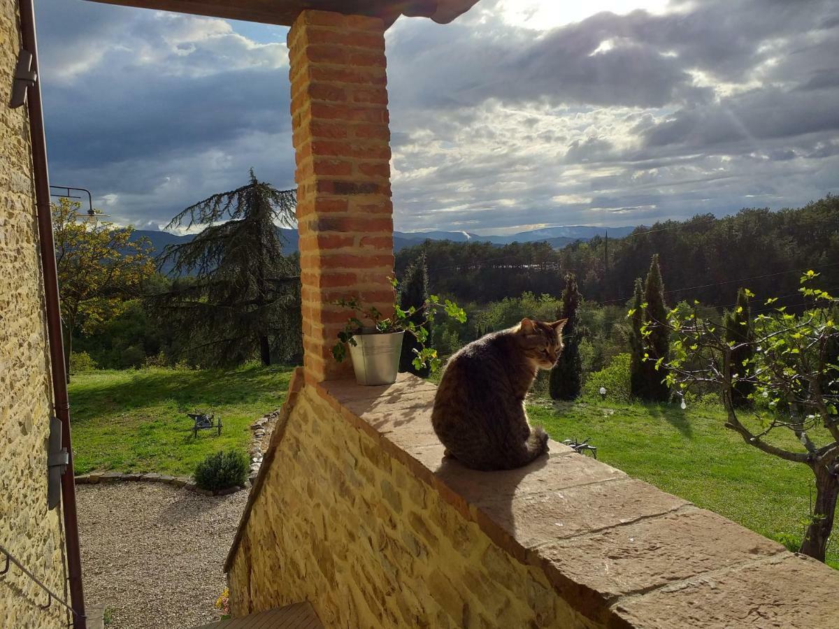 Hotel Le Terre di Caprano Città di Castello Esterno foto